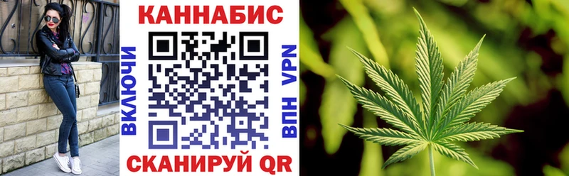 купить  цена  Старица  Канабис сатива 